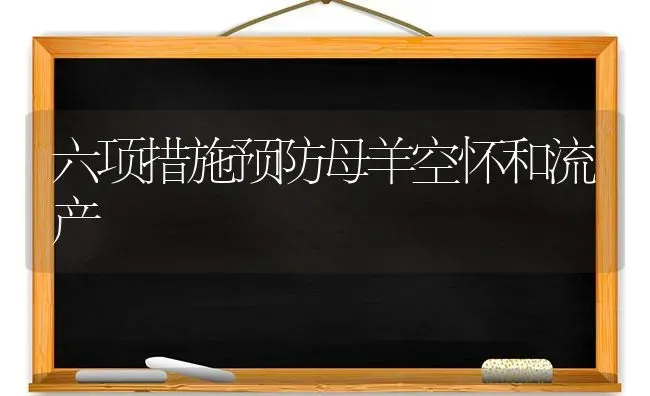 六项措施预防母羊空怀和流产 | 家畜养殖