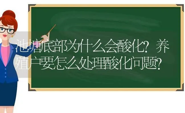 池塘底部为什么会酸化？养殖户要怎么处理酸化问题？ | 动物养殖百科