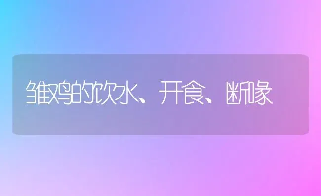 雏鸡的饮水、开食、断喙 | 家禽养殖