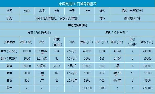 全程投喂膨化料养殖草鱼 赚钱就靠底层鱼高密度鲮鱼