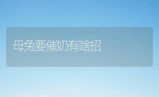 母兔要催奶有啥招 | 家畜养殖