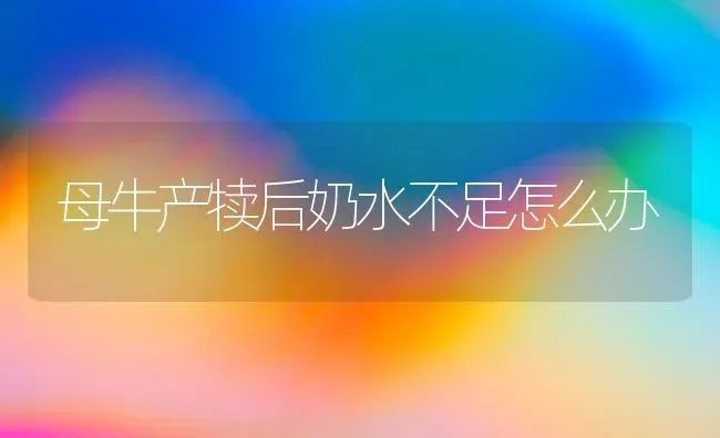 如何鉴定波尔山羊的发情期 | 家畜养殖