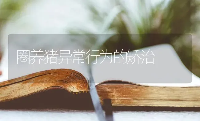 圈养猪异常行为的矫治 | 家畜养殖