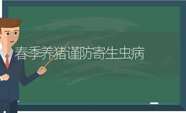 春季养猪谨防寄生虫病 | 家畜养殖