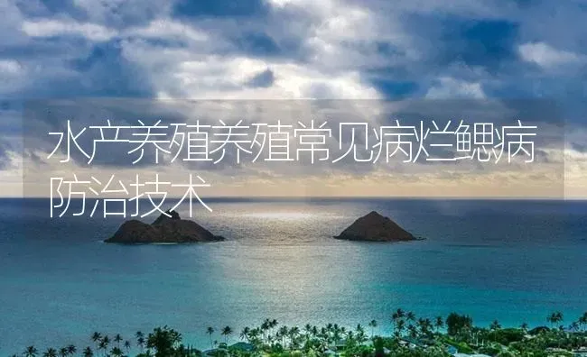 水产养殖养殖常见病烂鳃病防治技术 | 养殖病虫害防治