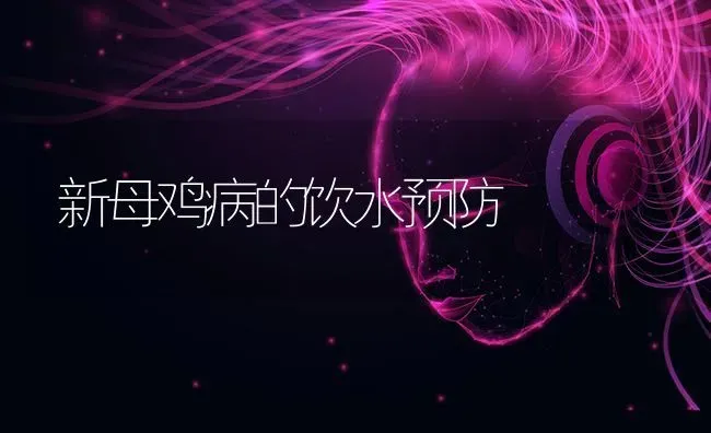 新母鸡病的饮水预防 | 家禽养殖
