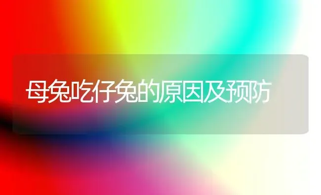母兔吃仔兔的原因及预防 | 家畜养殖
