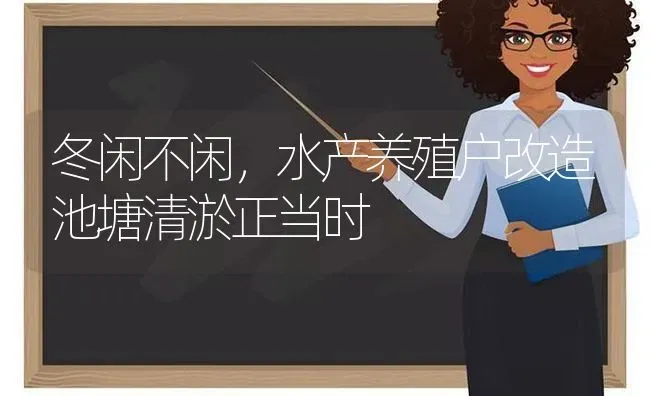 冬闲不闲，水产养殖户改造池塘清淤正当时 | 动物养殖百科