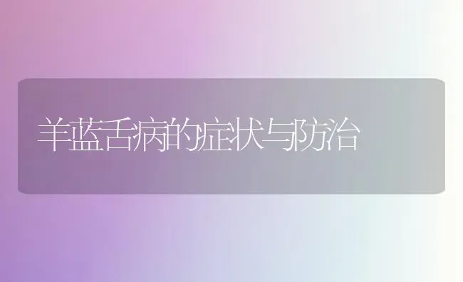 羊蓝舌病的症状与防治 | 家畜养殖