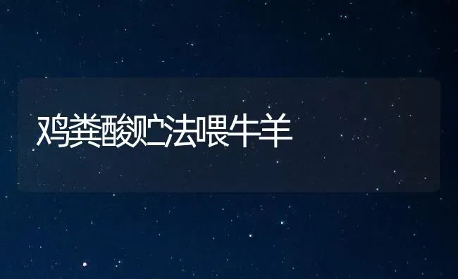 鸡粪酸贮法喂牛羊 | 家畜养殖