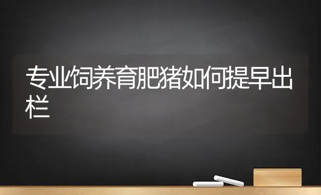 专业饲养育肥猪如何提早出栏 | 家畜养殖