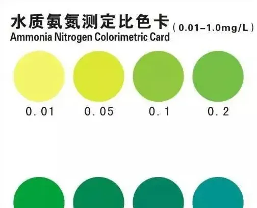 对虾刚放苗池塘水质出现氨氮高怎么处理？