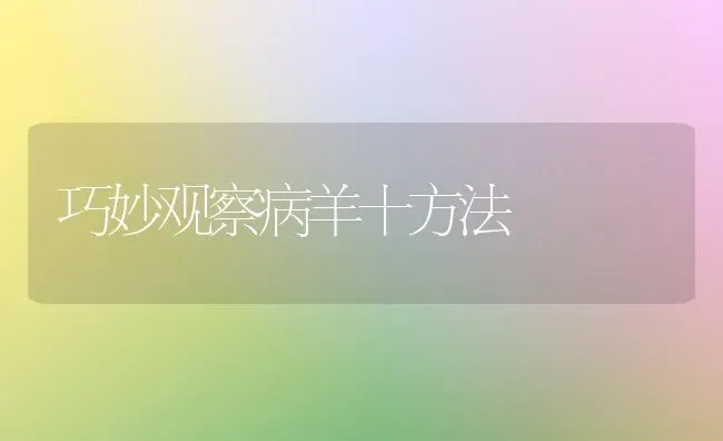 巧妙观察病羊十方法 | 家畜养殖