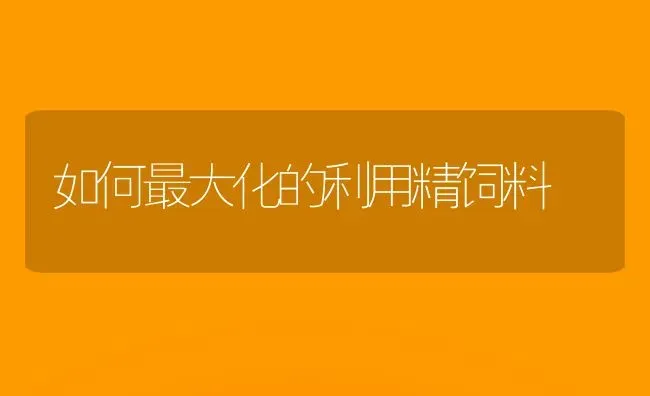 如何最大化的利用精饲料 | 动物养殖饲料