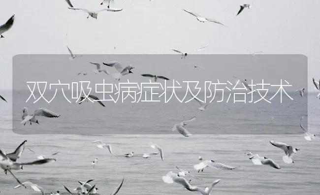 双穴吸虫病症状及防治技术 | 养殖病虫害防治