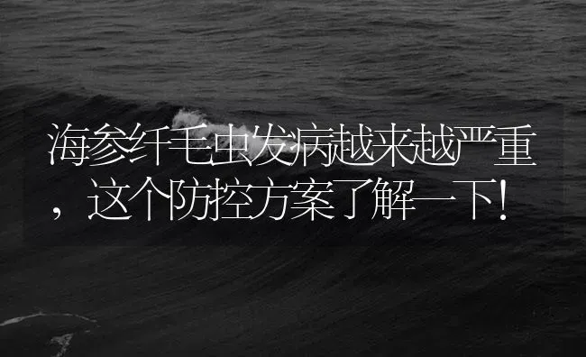 海参纤毛虫发病越来越严重，这个防控方案了解一下！ | 海水养殖