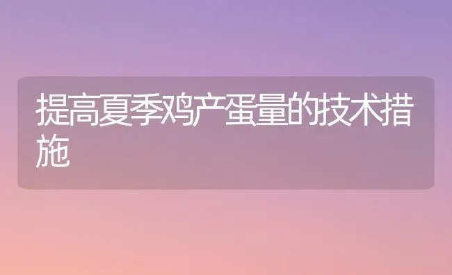 提高夏季鸡产蛋量的技术措施 | 家禽养殖