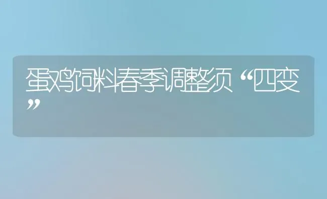 蛋鸡饲料春季调整须“四变” | 家禽养殖