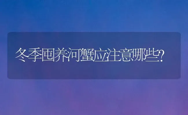 冬季囤养河蟹应注意哪些？ | 淡水养殖