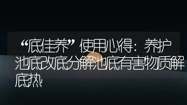 “底佳养”使用心得：养护池底改底分解池底有害物质解底热 | 动物养殖百科