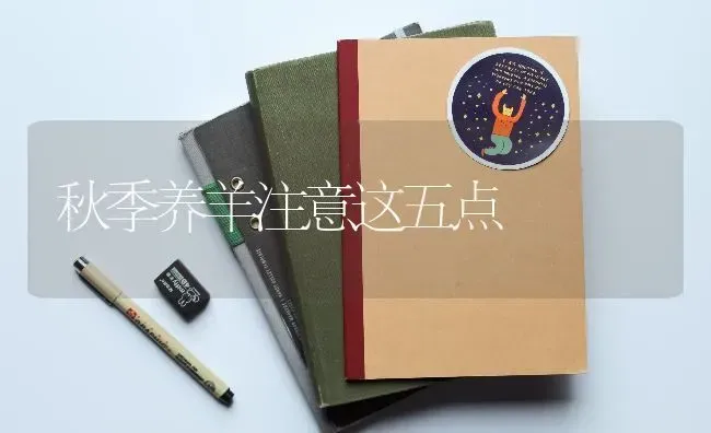 秋季养羊注意这五点 | 家畜养殖