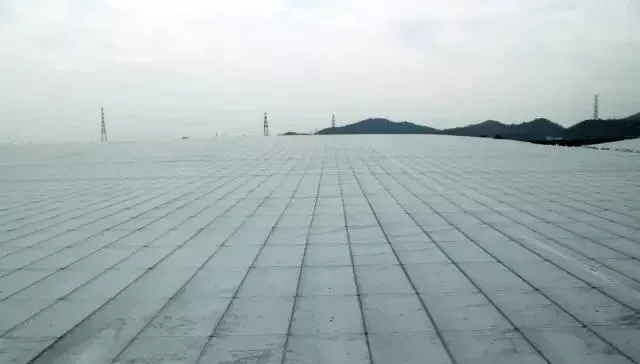 南美白对虾标苗技术要点