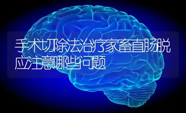 手术切除法治疗家畜直肠脱应注意哪些问题 | 家畜养殖