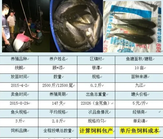 海大饲料在广东珠海地区养殖效益展示