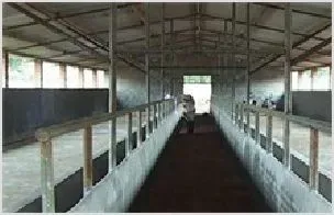 养牛场建设 | 动物养殖资料