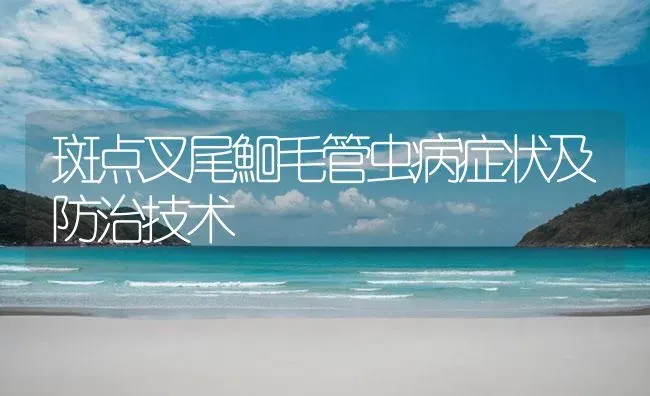 斑点叉尾鮰毛管虫病症状及防治技术 | 养殖病虫害防治