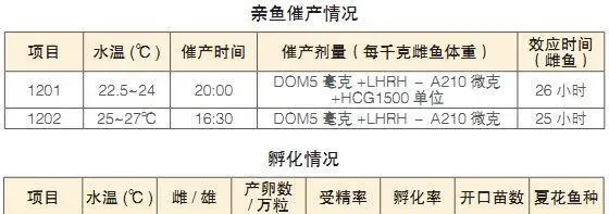 翘嘴鳜与斑鳜杂交的人工繁育技术
