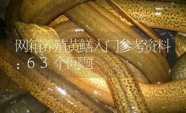 网箱养殖黄鳝入门参考资料：63个问题 | 淡水养殖