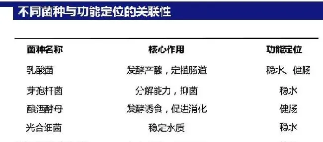 韦工虾道：发病率达70%-80%，南美白对虾该如何养？！