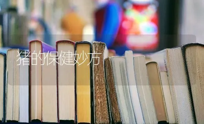 猪的保健妙方 | 家畜养殖