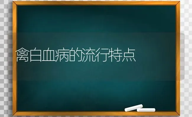 禽白血病的流行特点 | 家禽养殖