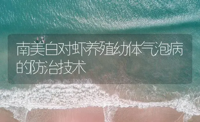 南美白对虾养殖幼体气泡病的防治技术 | 海水养殖