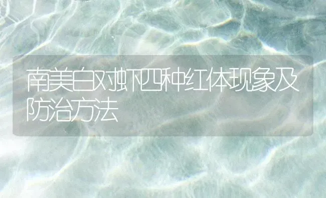 南美白对虾四种红体现象及防治方法 | 海水养殖
