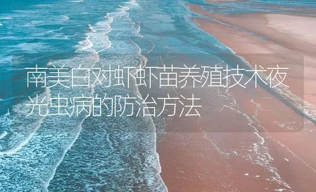 南美白对虾虾苗养殖技术夜光虫病的防治方法 | 海水养殖