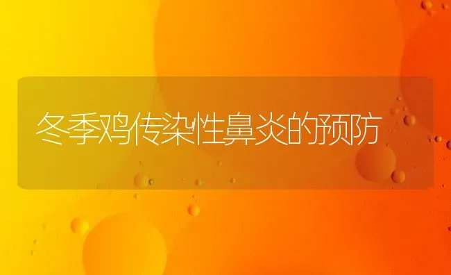 冬季鸡传染性鼻炎的预防 | 家禽养殖