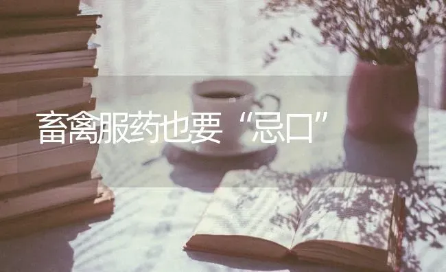 畜禽服药也要“忌口” | 养殖病虫害防治