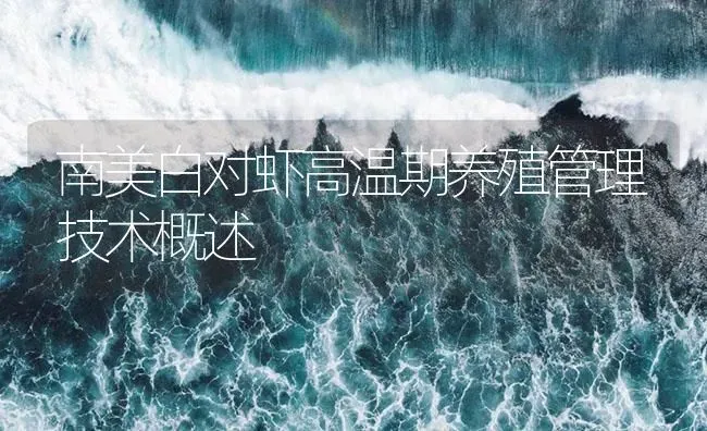 南美白对虾高温期养殖管理技术概述 | 海水养殖