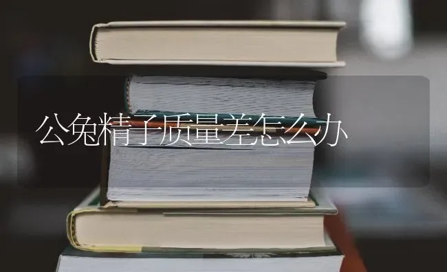 公兔精子质量差怎么办 | 家畜养殖