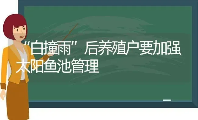 “白撞雨”后养殖户要加强太阳鱼池管理 | 动物养殖百科