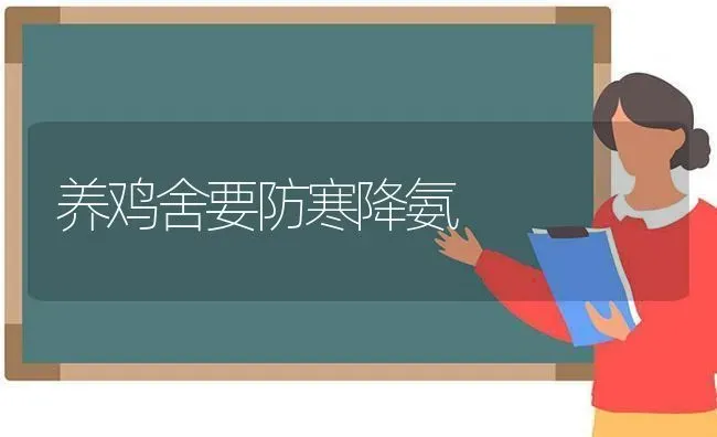 养鸡舍要防寒降氨 | 家禽养殖