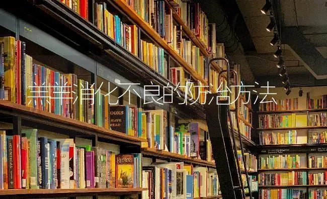 羔羊消化不良的防治方法 | 家畜养殖