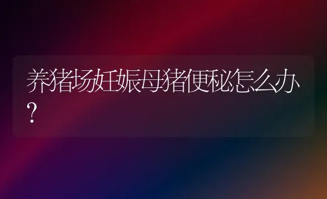 獭兔仔兔的科学管理 | 家畜养殖