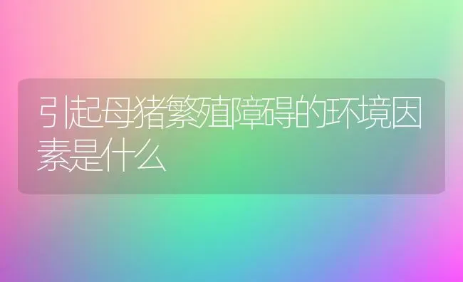 引起母猪繁殖障碍的环境因素是什么 | 家畜养殖