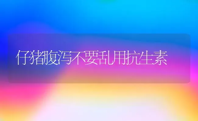 仔猪腹泻不要乱用抗生素 | 家畜养殖