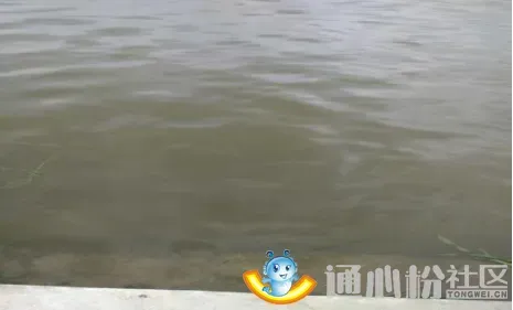 通威“电化水”新奇技术亮相西北，水产养殖户感叹“好神奇”