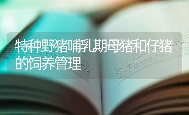 特种野猪哺乳期母猪和仔猪的饲养管理 | 家畜养殖
